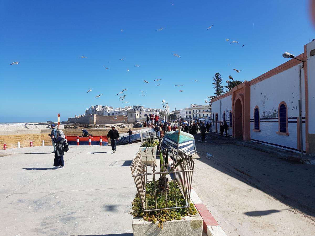 Riad Sidi Magdoul Essaouira Exteriör bild